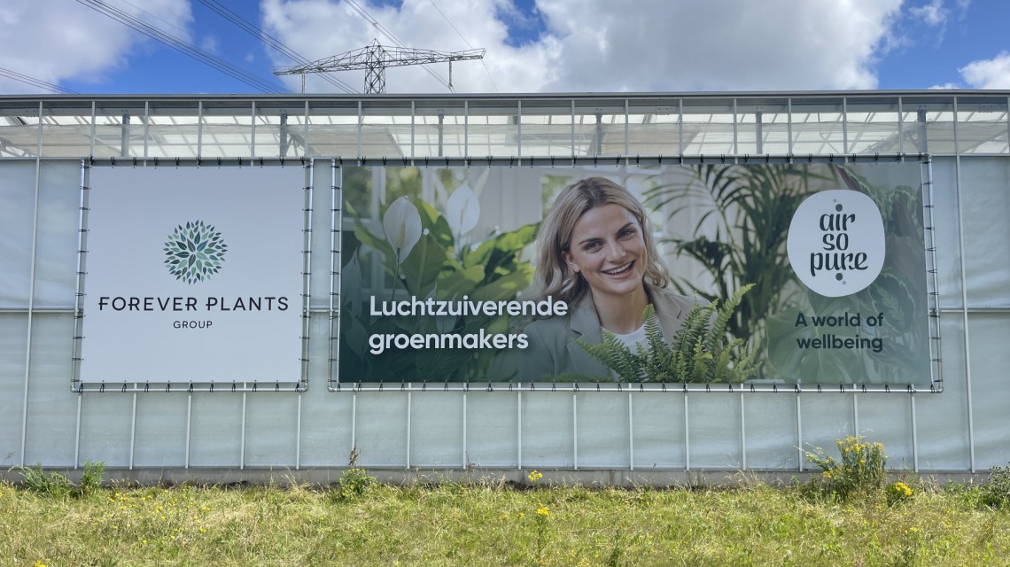 FOREVER PLANTS