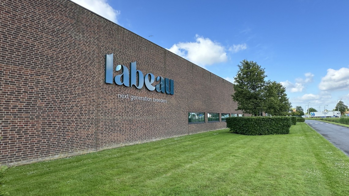 Labeau