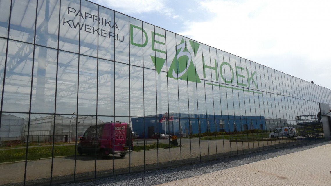 de 3Hoekjpg