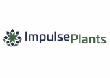 Impulse plant Tekengebied 1