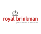 Royal Brinkman Tekengebied 1