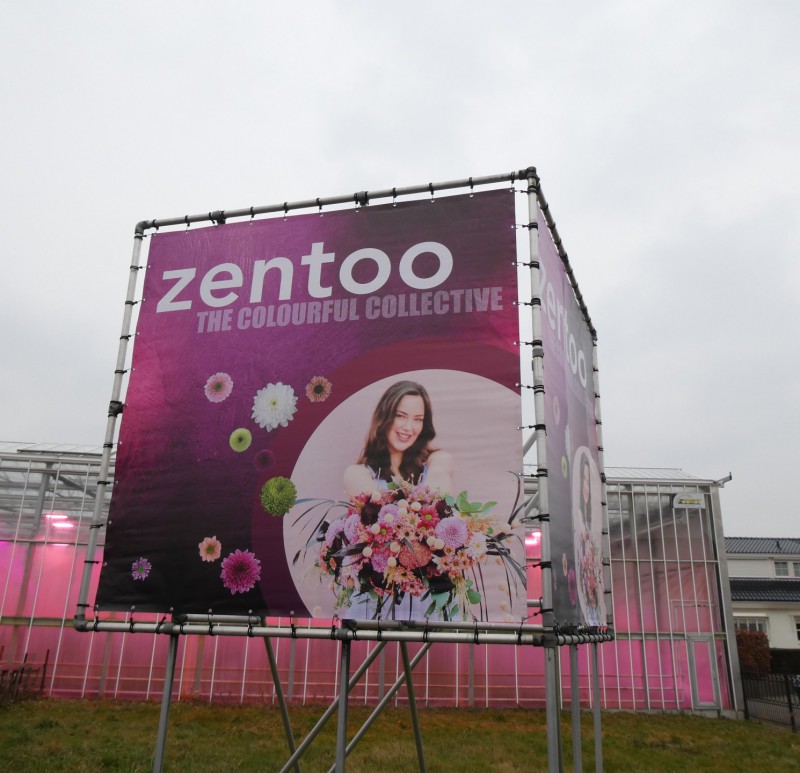 Zentoo Brazil
