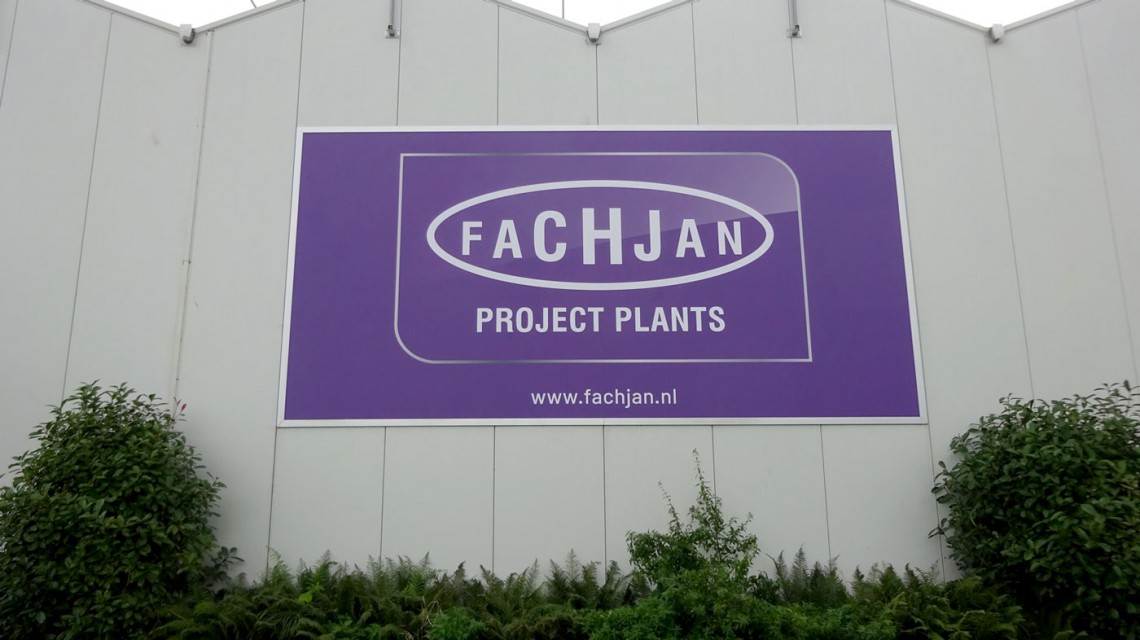 Fachjan 5