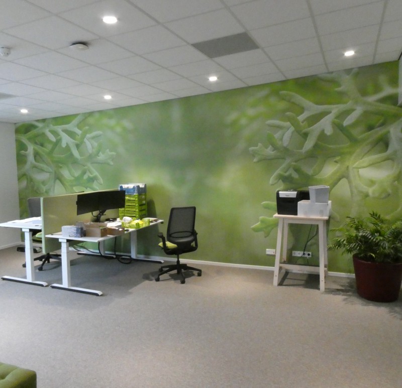 Koppert Cress de Poel